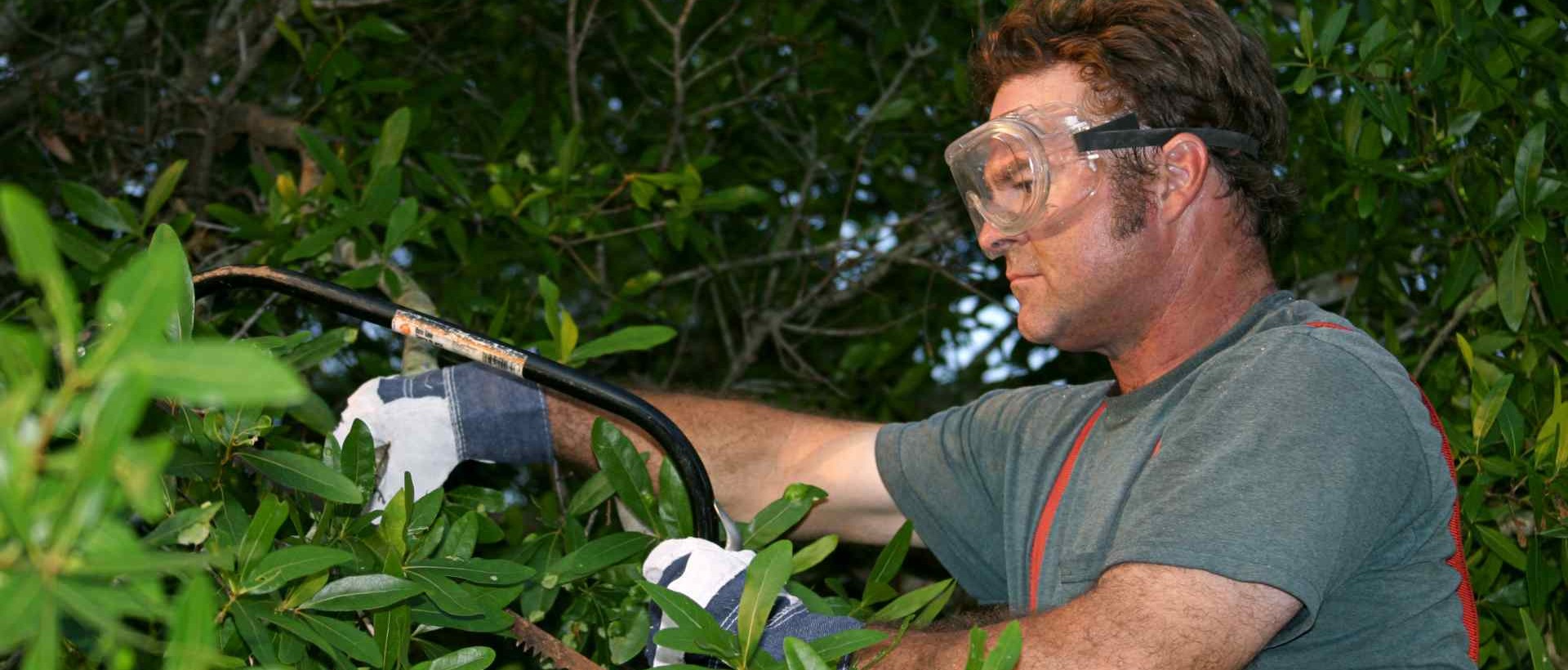 garden clearance KT14