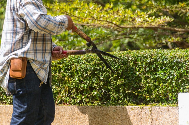Garden Maintenance West Byfleet, Byfleet, KT14